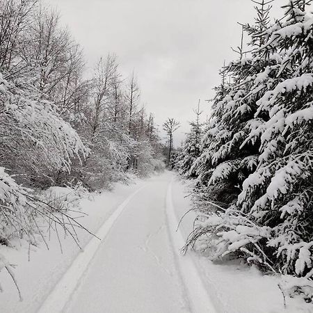 Stuga I Naturskoena Mittskane Höör Dış mekan fotoğraf