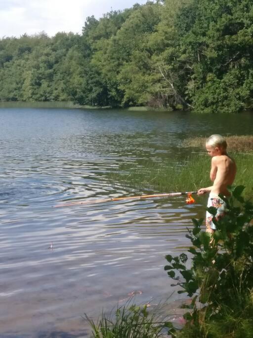 Stuga I Naturskoena Mittskane Höör Dış mekan fotoğraf