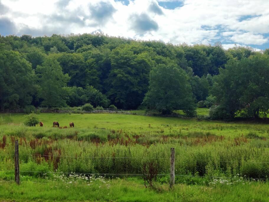 Stuga I Naturskoena Mittskane Höör Dış mekan fotoğraf